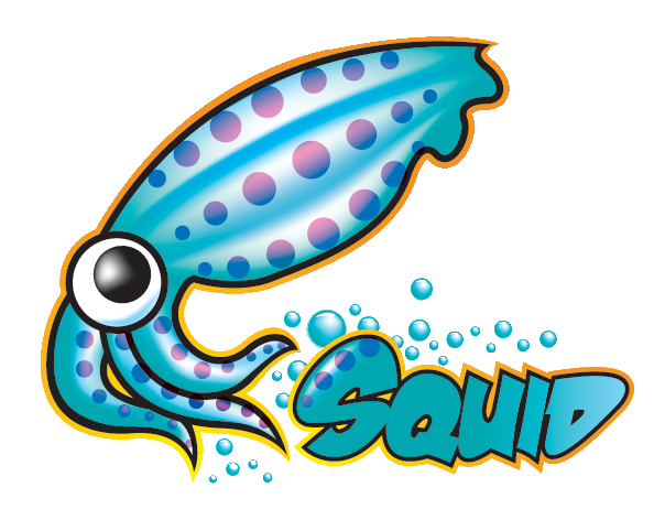 Squid Caching Proxy - Web Performance Software
